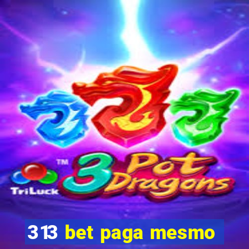 313 bet paga mesmo